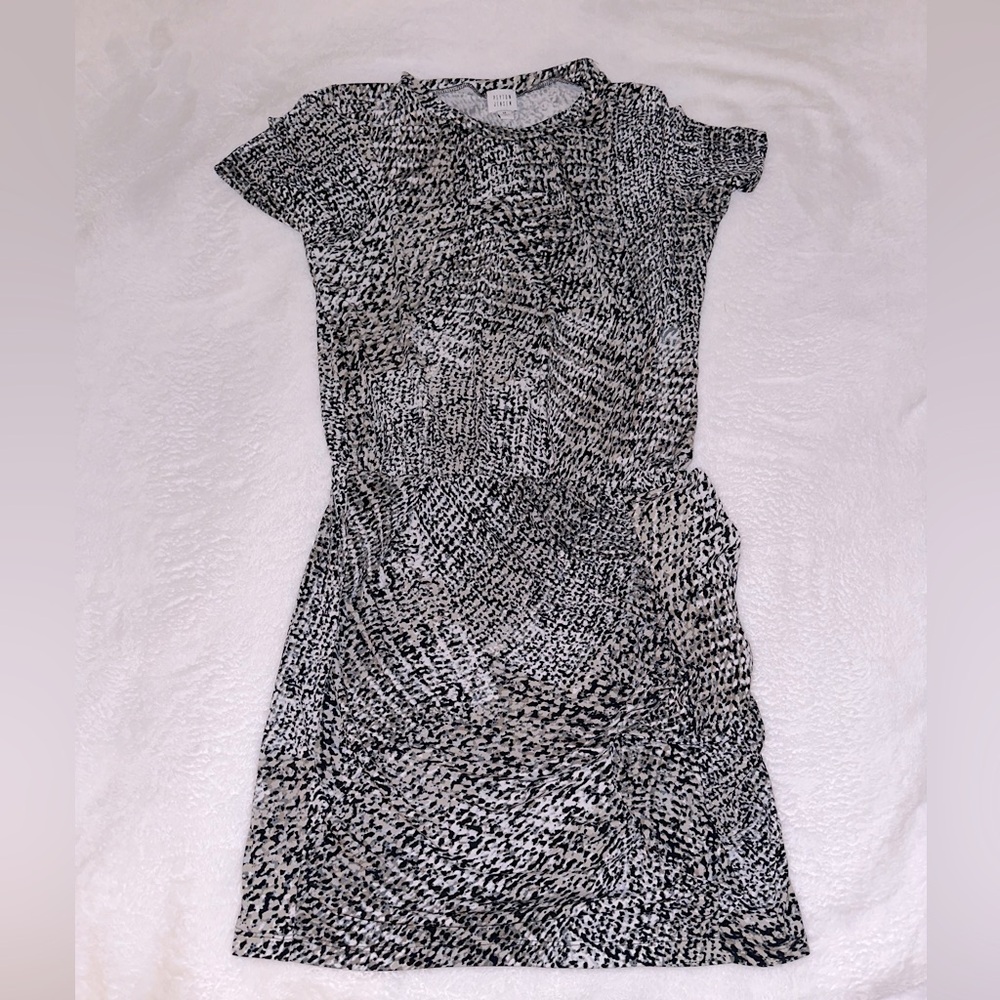 Peyton Jenson Dress